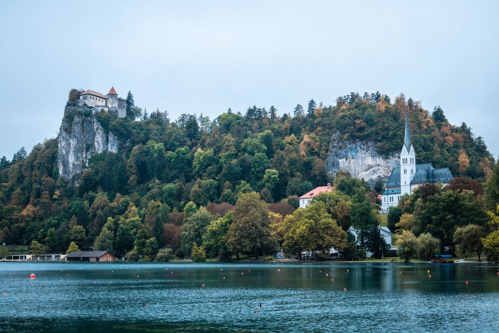 Bled